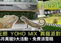 元朗 YOHO MIX 異寵派對！6月親親兩棲爬蟲9大活動、免費雪糕