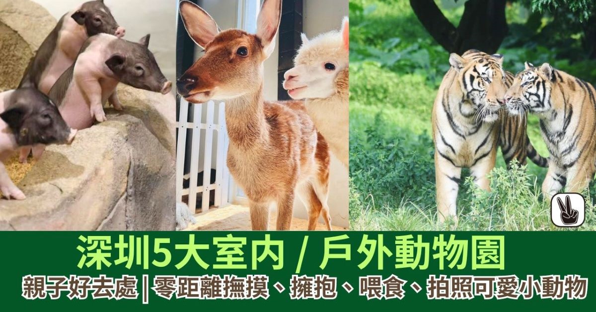 深圳動物園｜5大室内/戶外動物園！門票港幣$65起入場