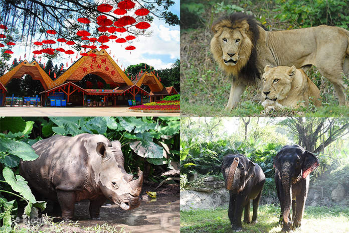 深圳動物園 | 5. 深圳野生動物園